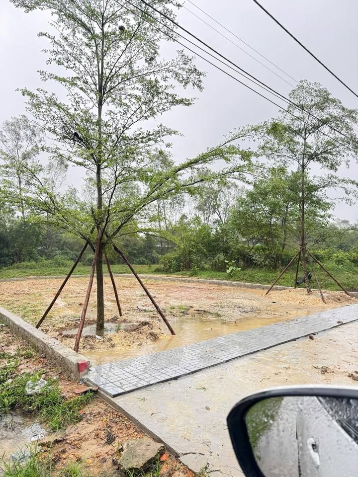 Đất nền mặt tiền Vương Thừa Vũ - Thủy Phương 192m² giá chỉ 1 tỷ - Đầu tư sinh lời!