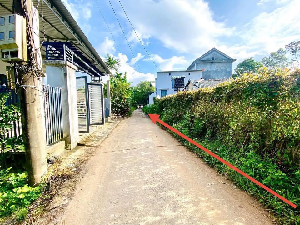 Đất nền Phong An, Phong Điền 120m² giá 500 triệu - Đầu tư sinh lời ngay!