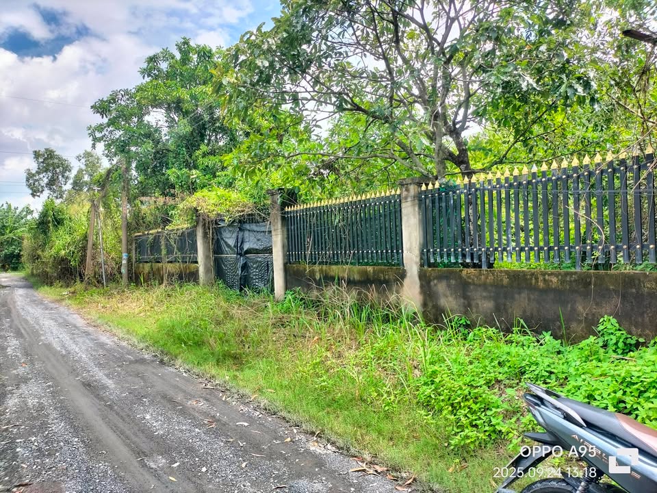 Đất vườn 1125m² đường Lê Văn Lương, Nhà Bè chỉ 5,8 tỷ - Đầu tư lý tưởng!