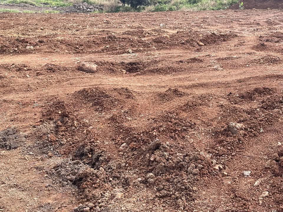 Đất nền Đắk R'La Đăk Mil 1800m² giá 1.35 tỷ - Sổ đỏ chính chủ, ô tô tận nơi!