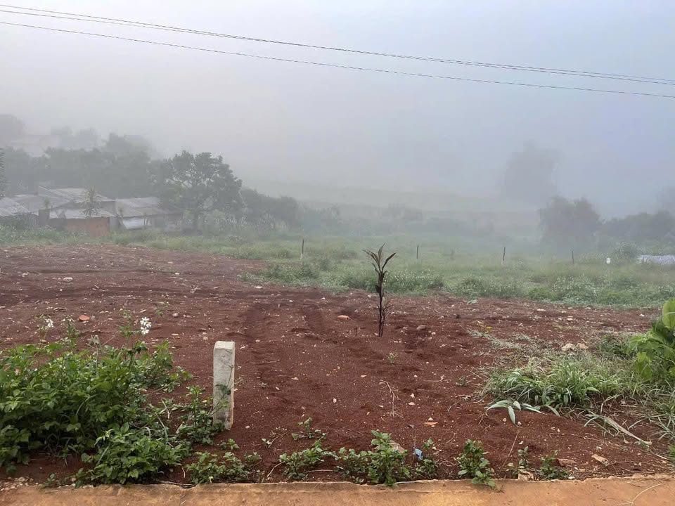 Đất nền Quảng Lập 869m² giá 800 triệu - Đầu tư sinh lời ngay!