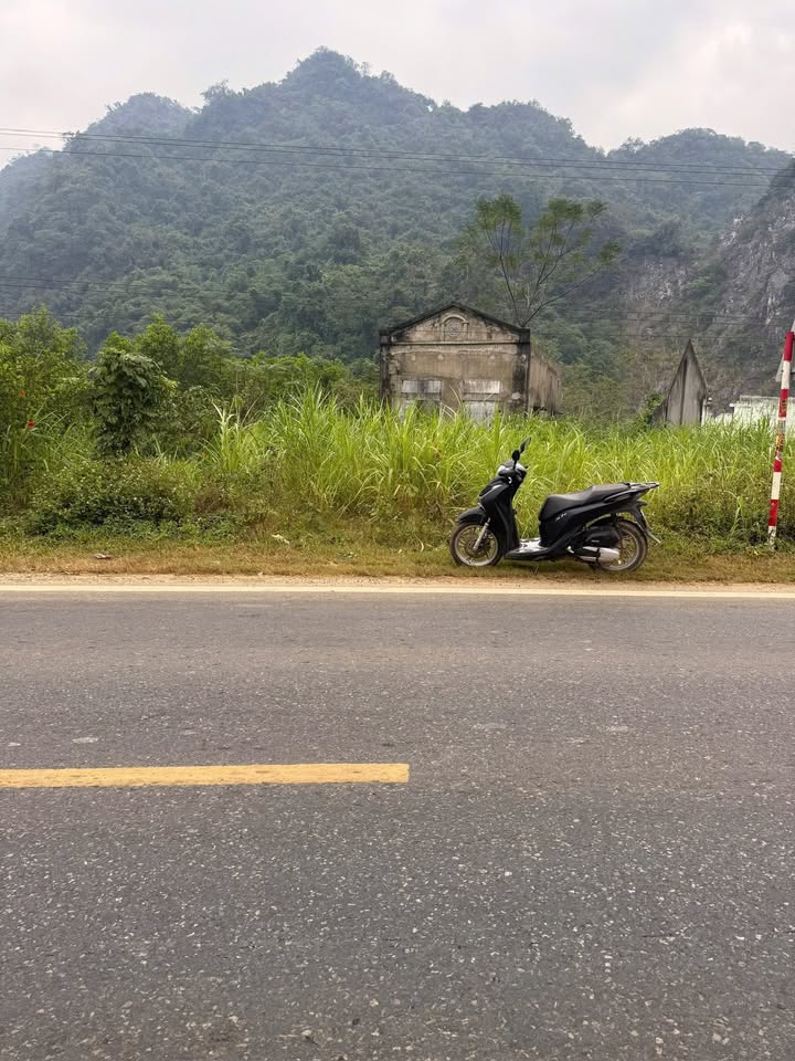 Đất nền Ngọc Lặc 300m² giá chỉ 500 triệu - Cần bán gấp lỗ!