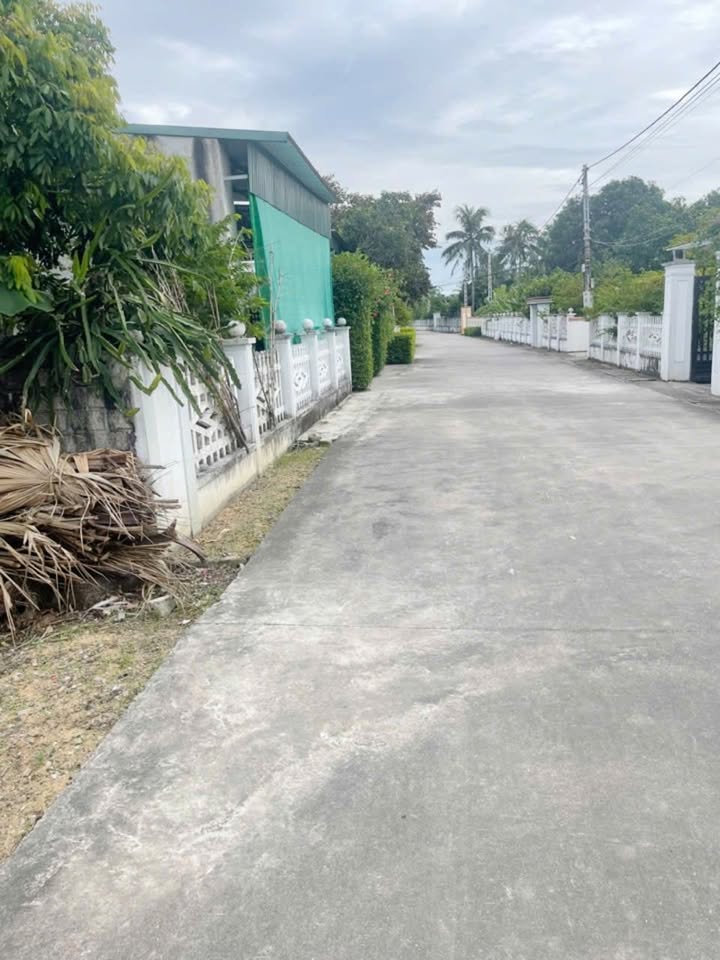 Đất nền chính chủ tại TT Tân Phong, 156m² - Đầu tư sinh lời ngay!