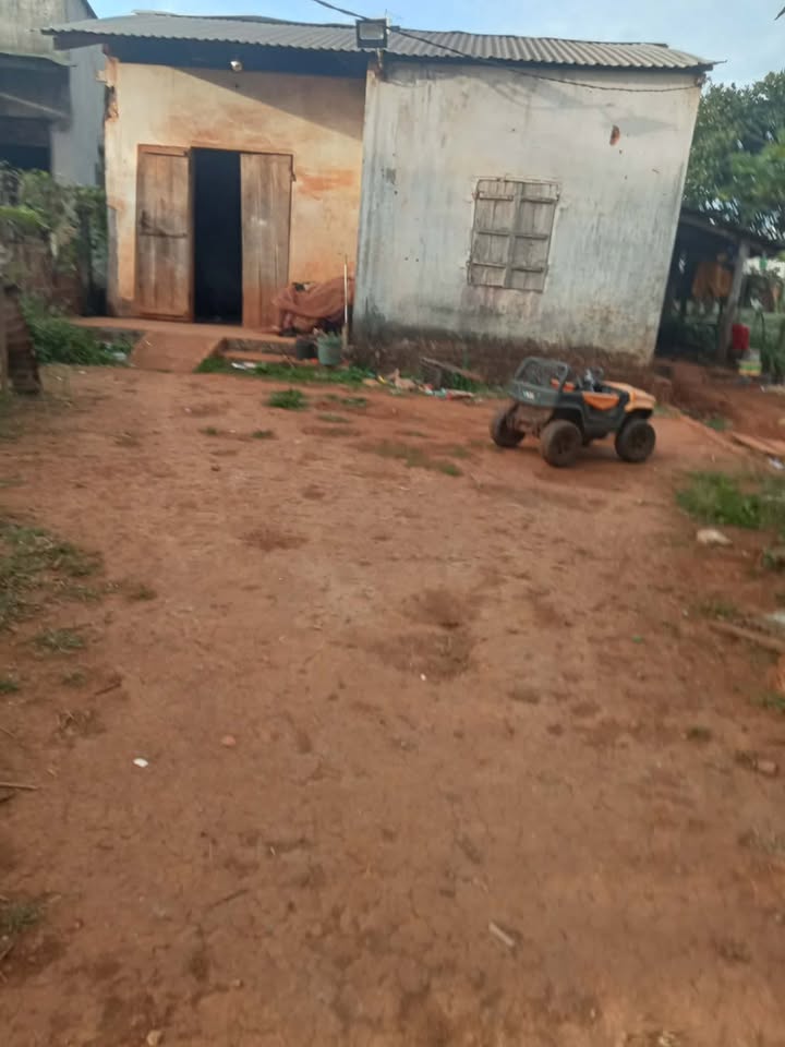 Nhà bán tại Ia Dom, Đức Cơ, Gia Lai 320m² giá 320 triệu - Cơ hội đầu tư hấp dẫn!