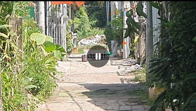 Đất nền chính chủ Quận 9 360m² giá 12.5 tỷ - Đầu tư sinh lời ngay!