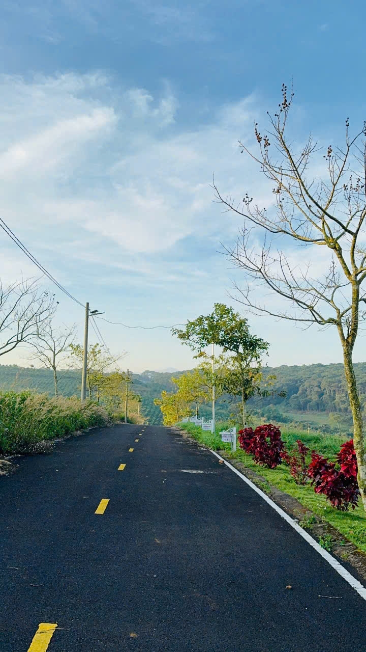 Đất nền Làng Omm 2 - Bảo Lâm 125m² giá 7 tỷ - Đầu tư an tâm giữa đồi chè!