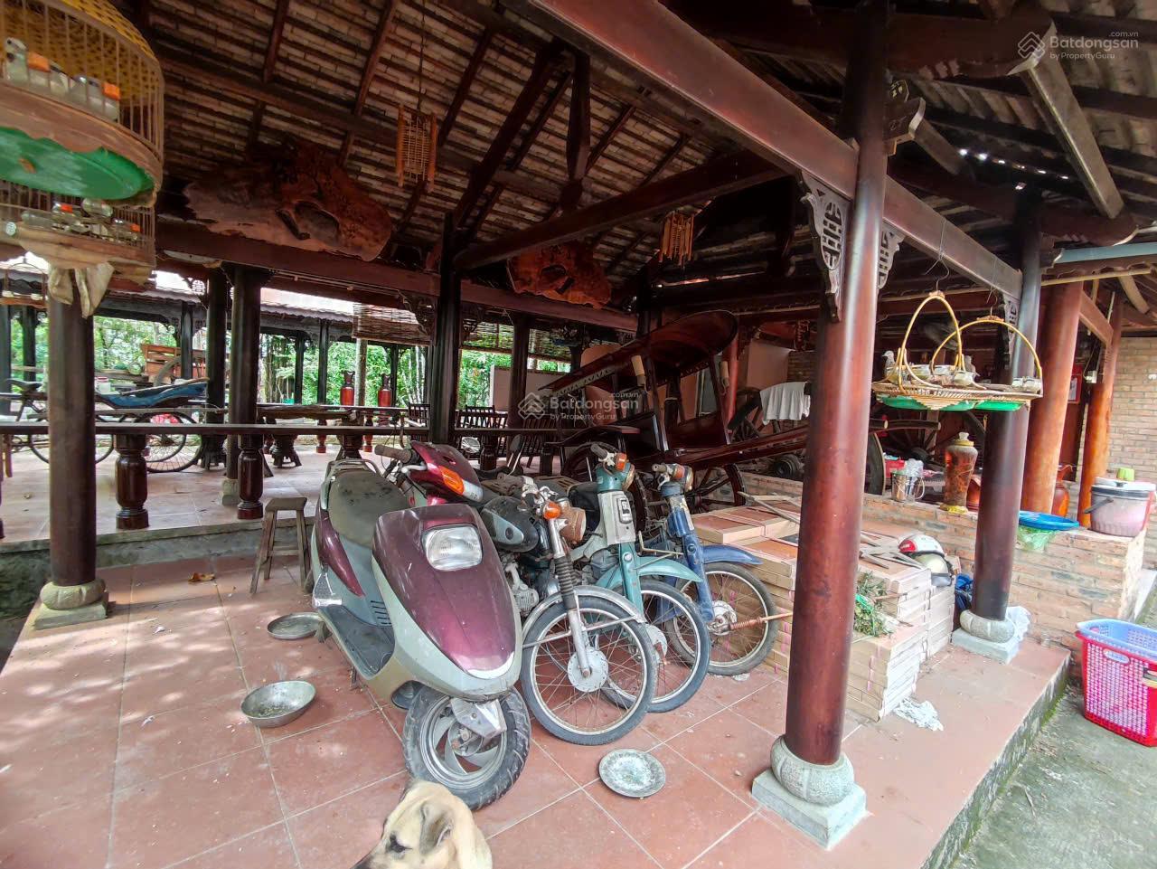 Đất cho thuê 5000m² gần chợ Bình Chánh - Tiềm năng phát triển lớn!