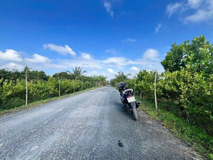 Đất vườn nhãn Trường Long, Phong Điền 2000m² giá 2.36 tỷ - Tiềm năng đầu tư cao!