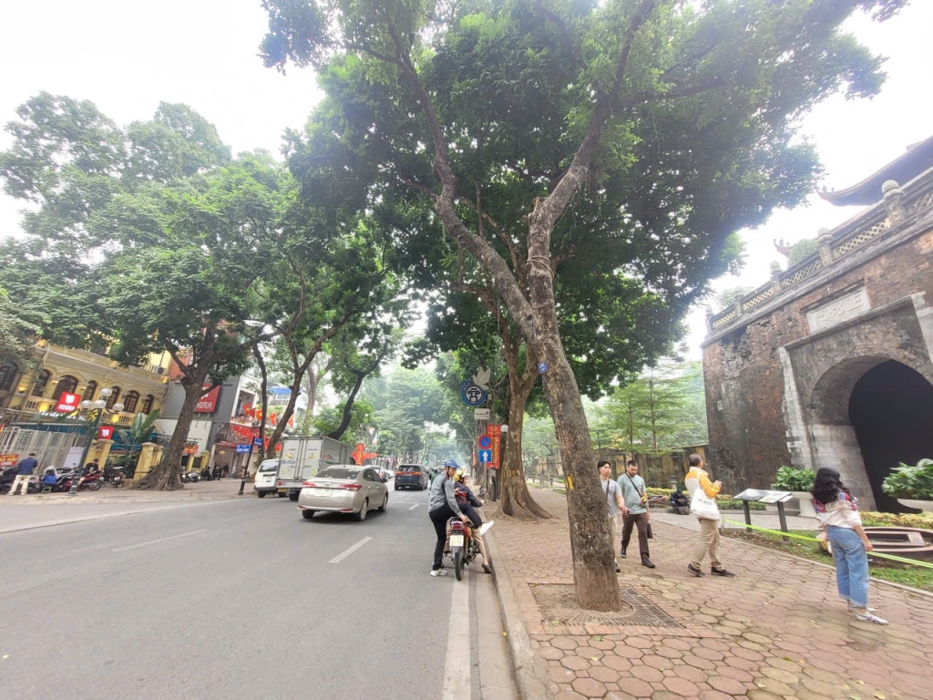 Nhà Phan Đình Phùng 34m² giá 17.7 tỷ - Xây mới 6 tầng, vị trí đắc địa!