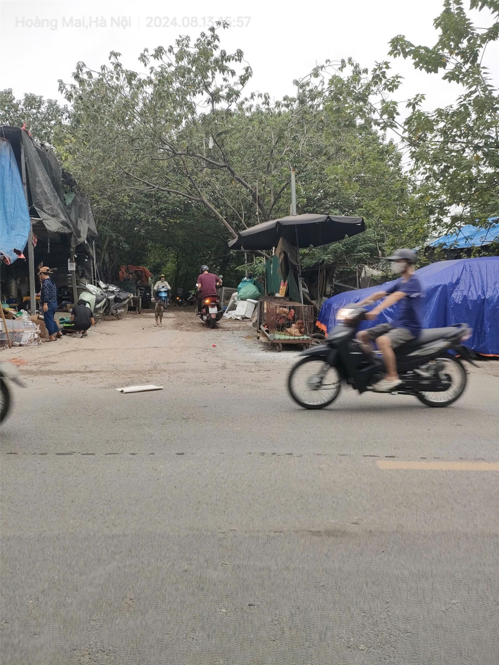 Nhà mặt phố Nguyễn Văn Giáp 300m² giá 2.7 tỷ - Cơ hội đầu tư vàng!