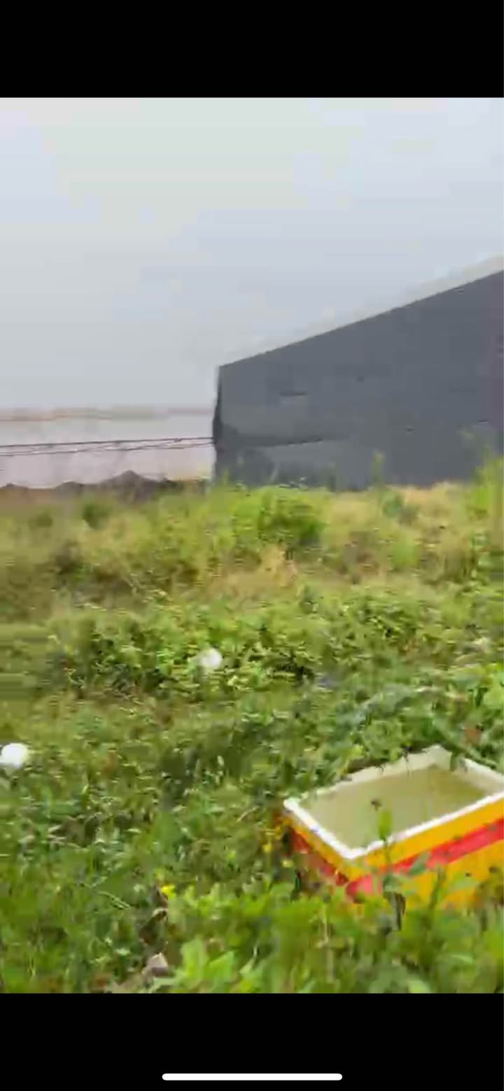 Đất nền Đà Lạt 100m² giá 700 triệu - Đầu tư sinh lời ngay!