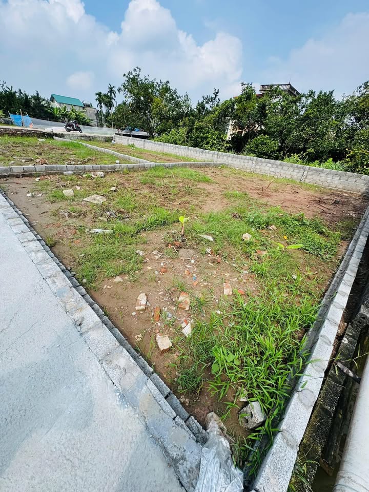 Đất nền Tri Thủy, Phú Xuyên 80m² giá 1.45 tỷ - Siêu đẹp, siêu tiềm năng!