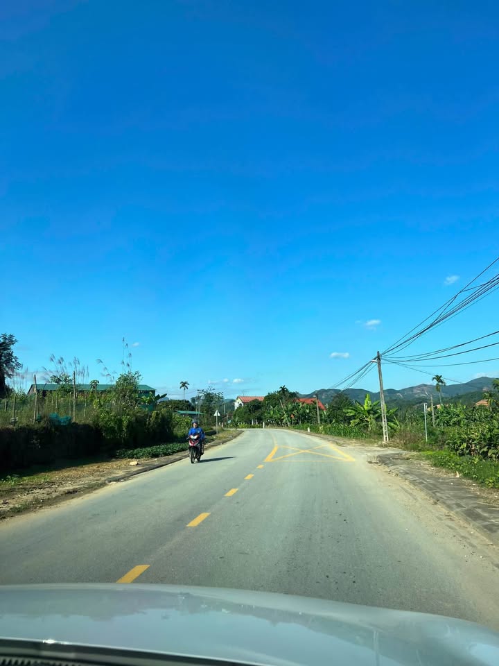 Đất mặt đường tỉnh lộ 166 Quy Mông 98m² giá chỉ 400 triệu - Kinh doanh sầm uất!