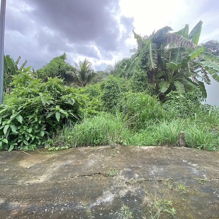 Đất nền Mỹ Thạnh An 84m² giá 460 triệu - Vị trí đắc địa gần khu Vườn Cây Xanh