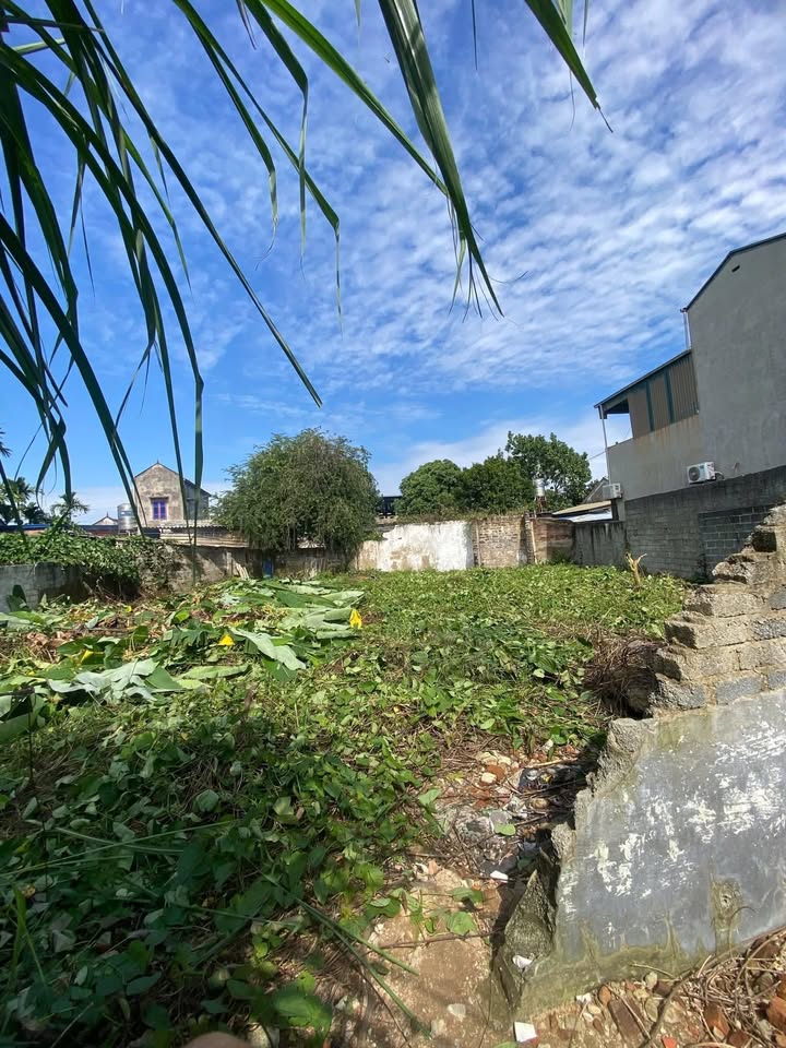 Đất nền Đại Từ Thái Nguyên 500m² giá 1.6 tỷ - Cơ hội đầu tư tuyệt vời!