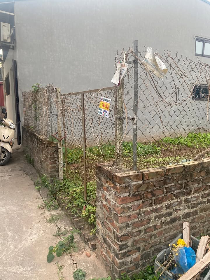 Lô đất An Khánh Hoài Đức 66m² giá 3 tỷ - Vị trí đẹp, lô góc hiếm có!