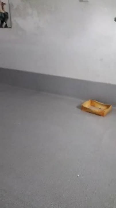 Nhà nhỏ xinh cho thuê Hẻm 03/84 Nguyễn Thiếp, Pleiku - Chỉ 1.5 triệu/tháng!