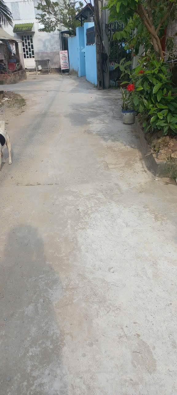 Đất nền An Hội Bến Tre 93m² giá 580 triệu - Sổ hồng chính chủ, thương lượng nhẹ!