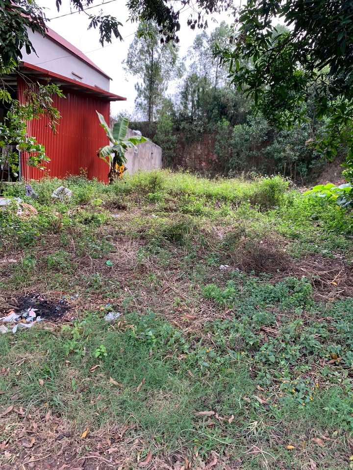 Đất nền Yên Dũng 192,5m² giá 3,7 tỷ - Vị trí đắc địa gần khu công nghiệp!