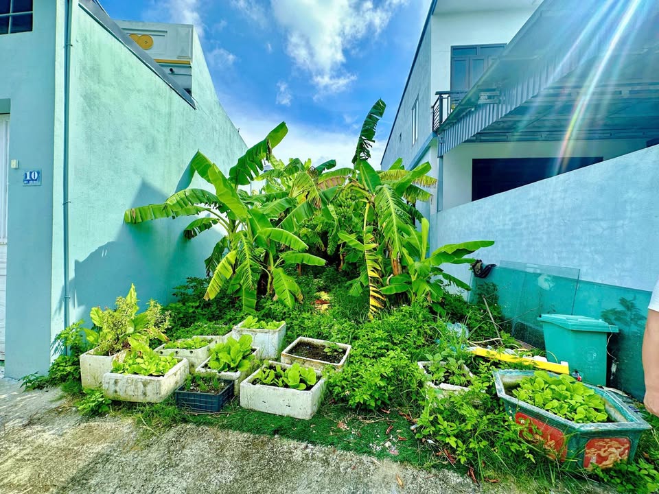 Đất nền Quảng Định 90m² giá 1.268 tỷ - Cơ hội đầu tư hấp dẫn!