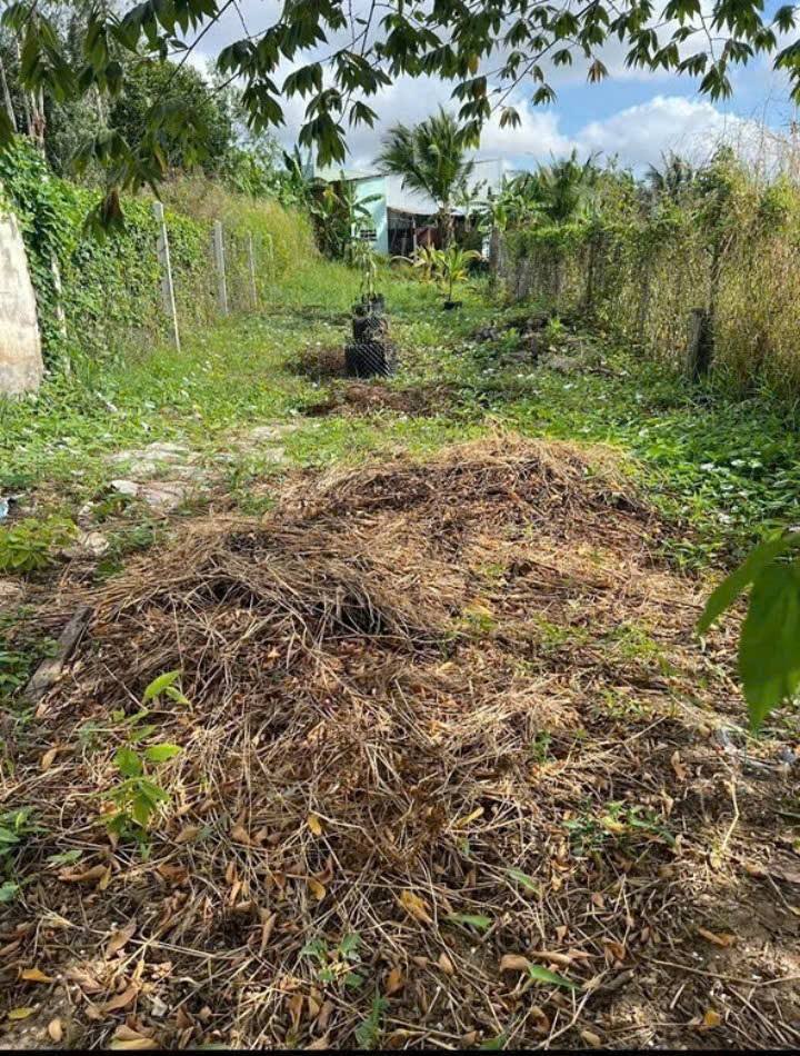 Đất nền Bạc Liêu 285m² giá 480 triệu - Cơ hội đầu tư tốt!