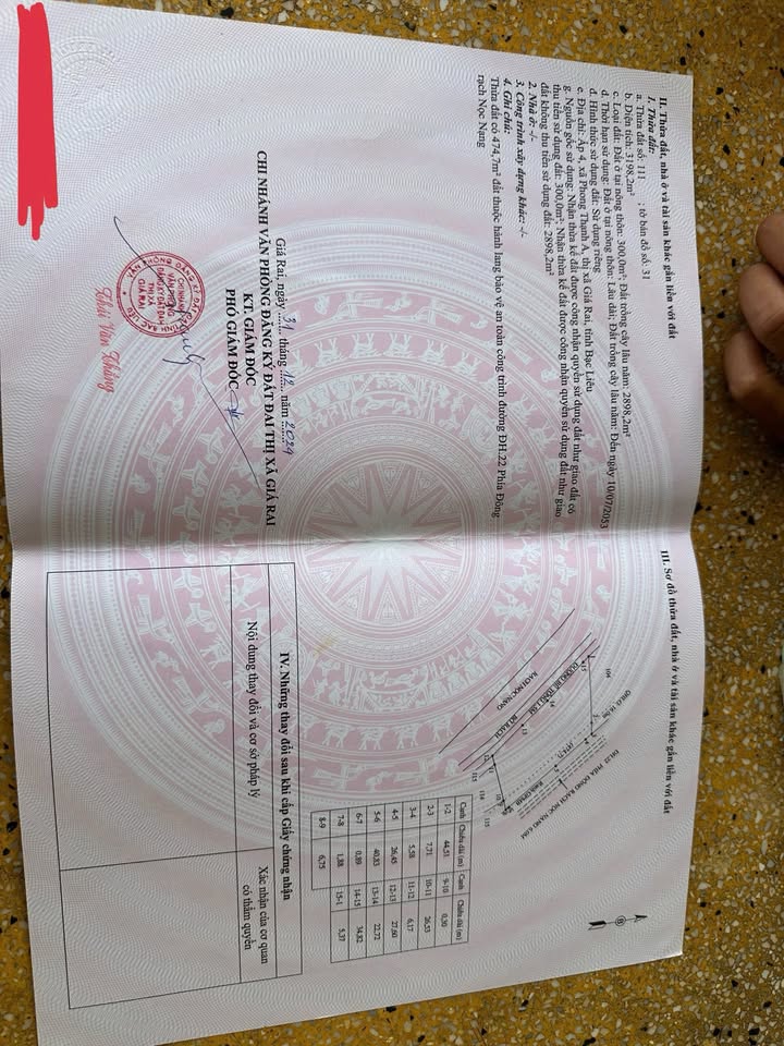 Đất nền 600m² tại Ấp 4, xã Phong Thạnh A, Giá Rai - Sổ hồng chính chủ, giá chỉ 2.25 tỷ!