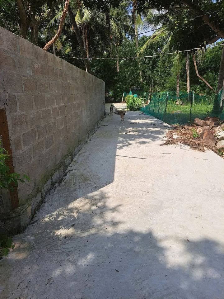 Đất 2 mặt tiền Phú Dương, Sông Cầu, Phú Yên 445m² giá 2 tỷ - Cơ hội đầu tư tuyệt vời!