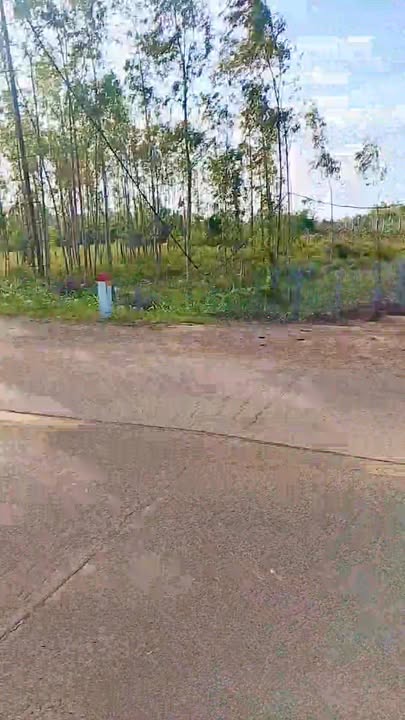 Đất nền Giai Sơn, An Mỹ, Tuy An 816m² - Sổ hồng chính chủ, vị trí đắc địa!