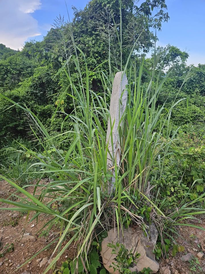 Đất lô góc 2200m² Vĩnh Lương, Nha Trang - Giá chỉ 490 triệu, chính chủ bán gấp!