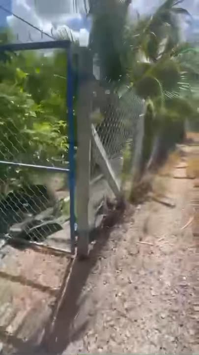 Đất cây lâu năm 1265m² tại Ấp Tân Phong, Cai Lậy - Giá chỉ 900 triệu!