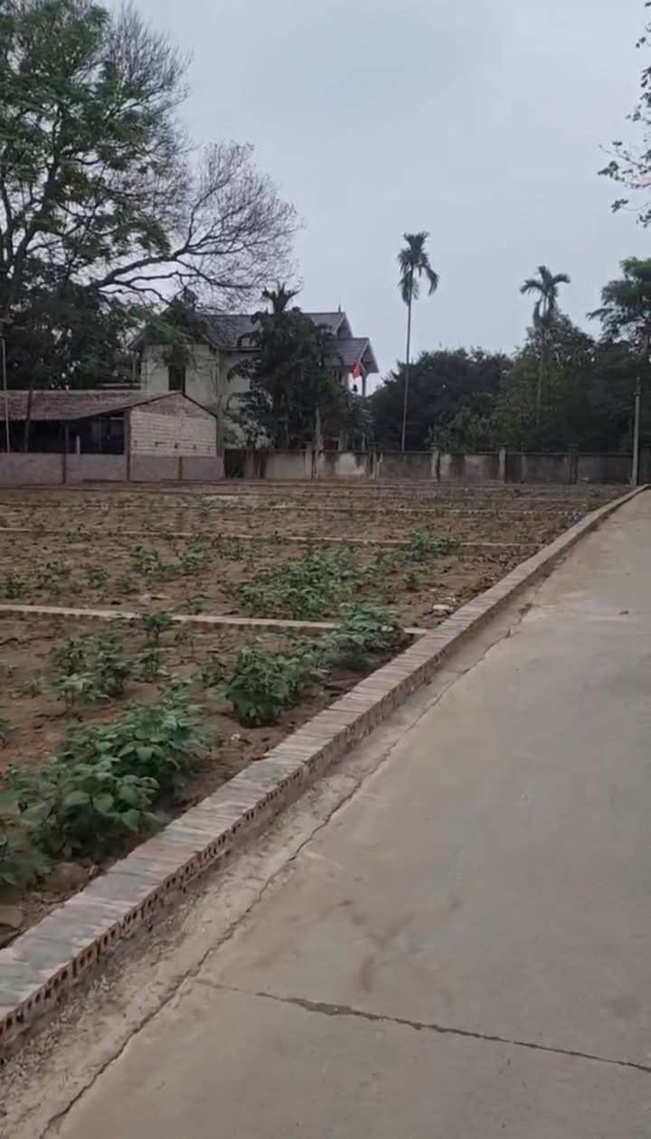 Đất nền Vật Yên, Ba Vì 100m² giá 1 tỷ - Đường rộng ô tô tránh nhau!