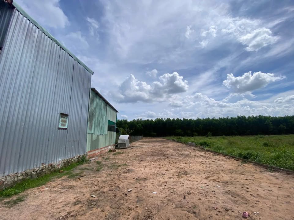 Đất nền Phước An 514m² giá 1.2 tỷ - Cơ hội đầu tư tuyệt vời!