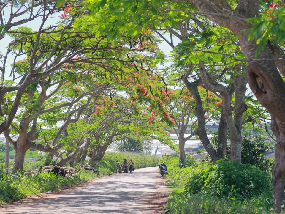 Đất nền 145m² tại Quảng Lập, Đơn Dương - Giá chỉ 430 triệu, sổ đỏ chính chủ!