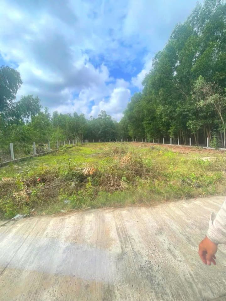 Đất nền 1000m² tại Diêm Trường, Xuân Lộc chỉ 2 tỷ - Cơ hội đầu tư sinh lời!