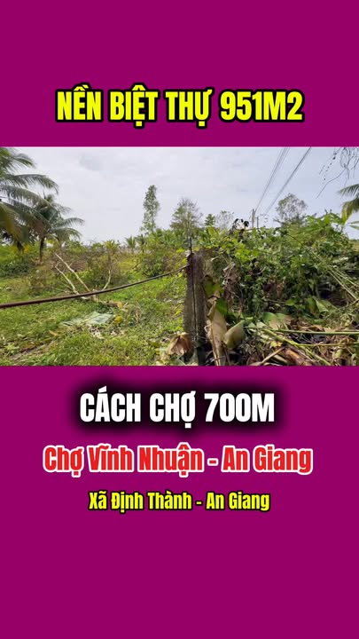 Lô đất biệt thự vườn Định Thành, An Giang 951m² giá 61.8 tỷ - View sông thoáng mát!