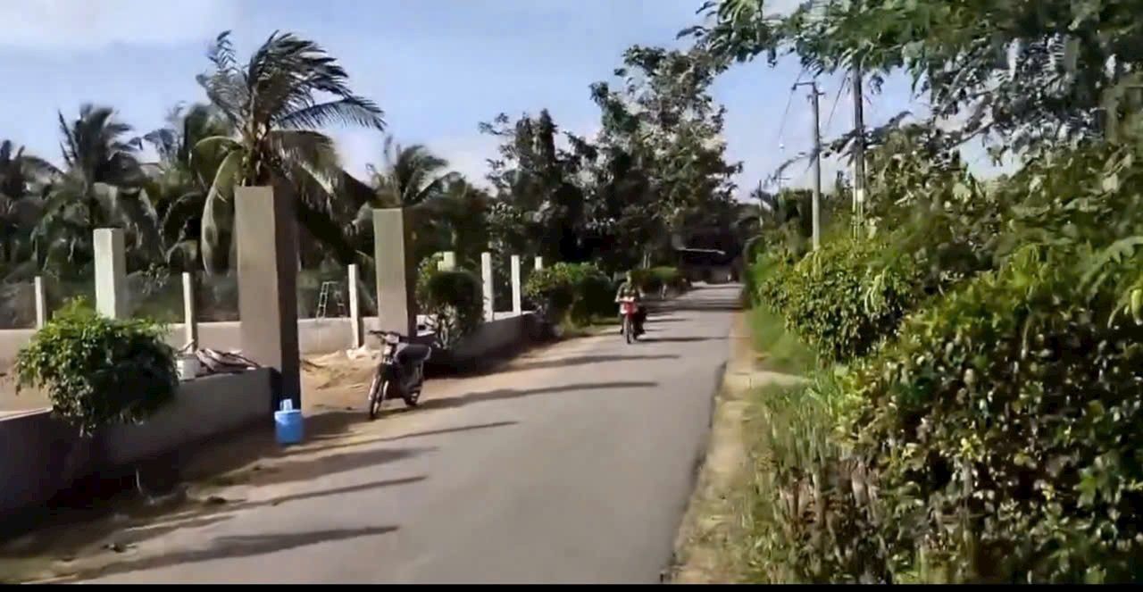 Đất nền mặt tiền đường nhựa xã Mỹ Hòa, Ba Tri 1100m² chỉ 2 tỷ - Cơ hội đầu tư tuyệt vời!