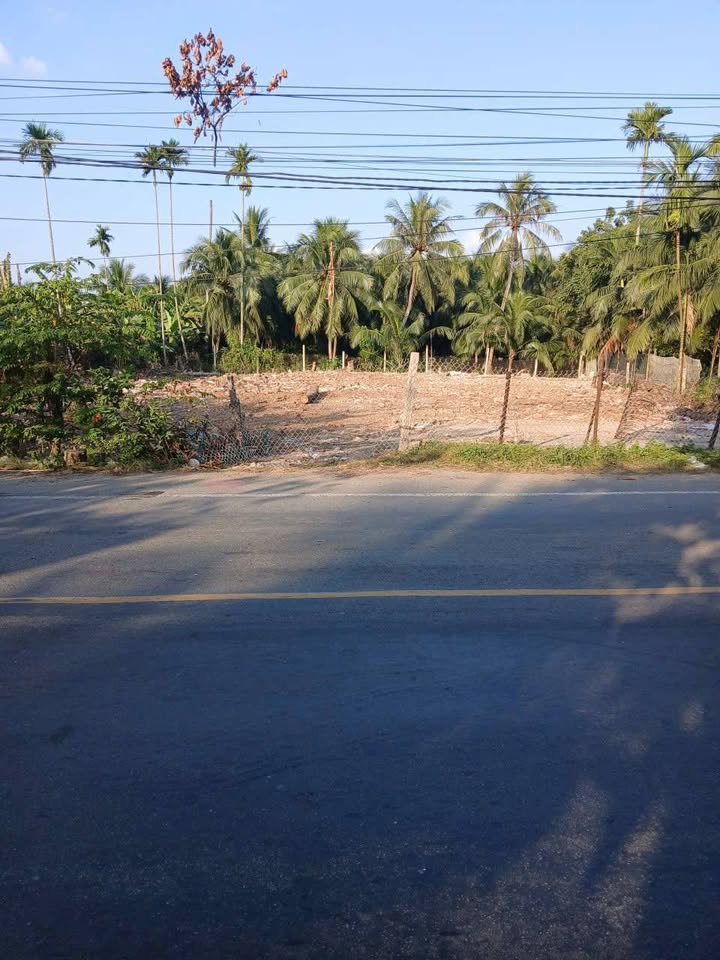 Đất mặt tiền 173, Huyện Châu Thành, Bến Tre 1004m² giá 8 tỷ - Kinh doanh sầm uất!