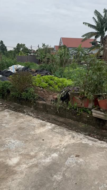 Đất thổ cư Minh Tiến 62m² giá 600 triệu - Đầu tư sinh lời ngay!