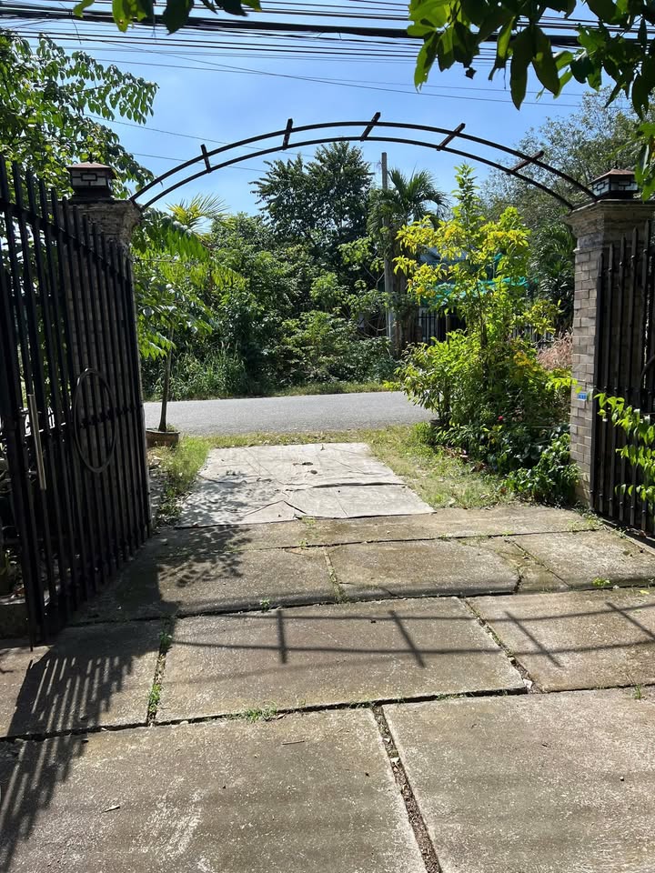 Đất nền Phú An Bến Cát 417m² giá 5 tỷ - Đường nhựa lớn, vị trí đắc địa!