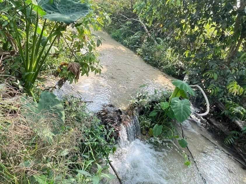 Đất vườn Long Nguyên 3000m² giá 1.9 tỷ - Cơ hội đầu tư tuyệt vời!