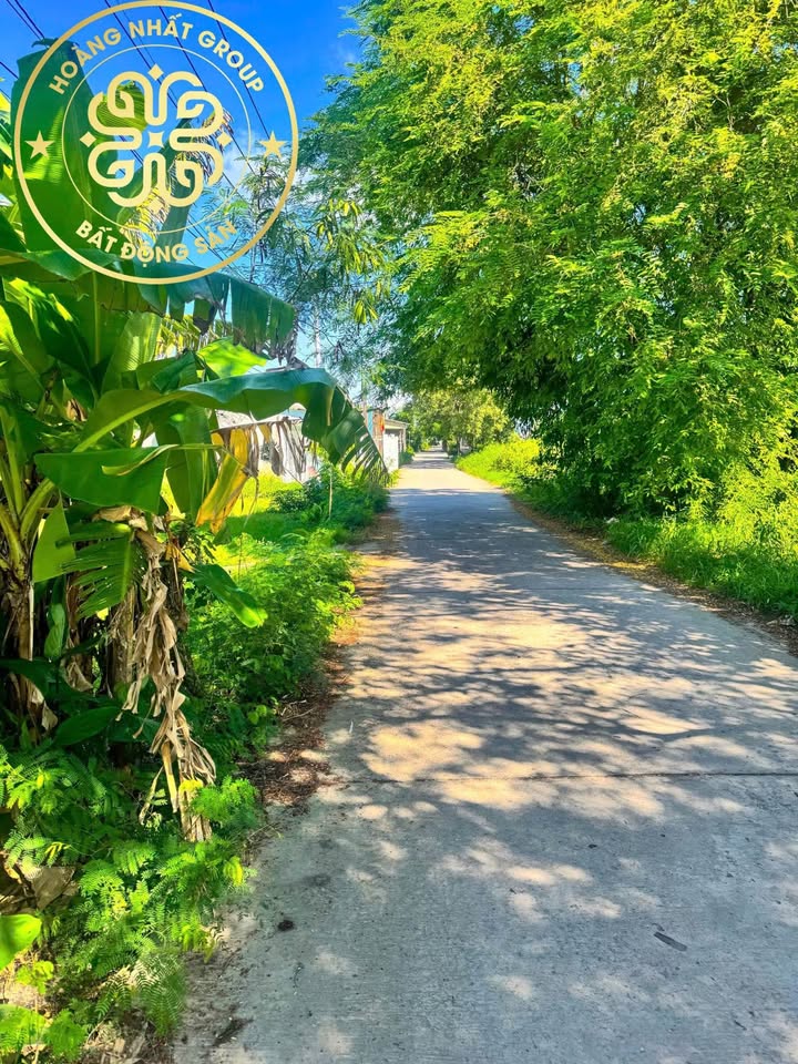 Đất nền thổ cư Kênh Xáng Cà Mau 769.5m² giá 180 triệu - Tiềm năng phát triển lớn!