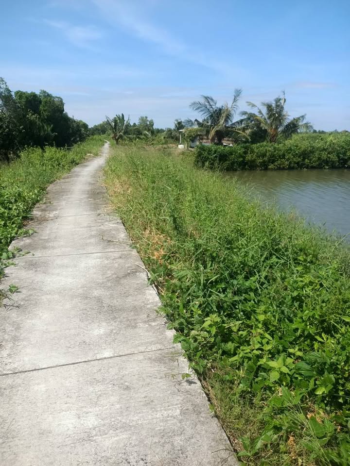 Đất vuông tôm xã Lương Thế Trân 11 công lớn giá 1.68 tỷ - Cơ hội đầu tư tuyệt vời!