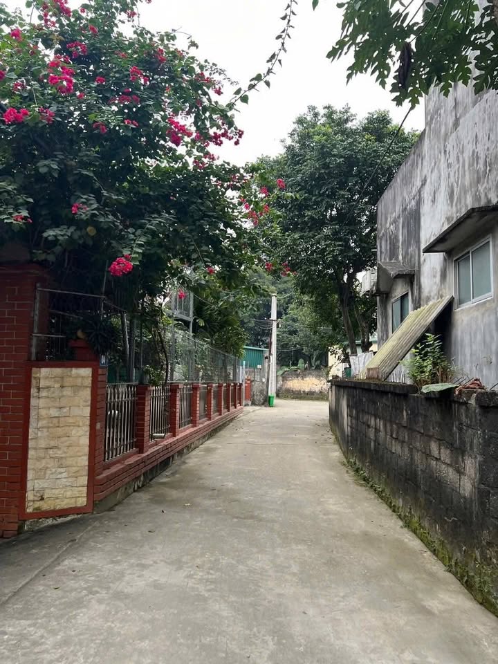 Đất nền An Tường 196.34m² giá 2.553 tỷ - Chính chủ cần bán gấp!