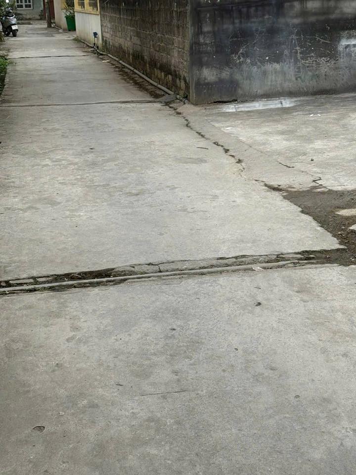 Bán đất Thủy Nguyên 81m² giá 3 tỷ - Trung tâm phát triển, hướng Nam