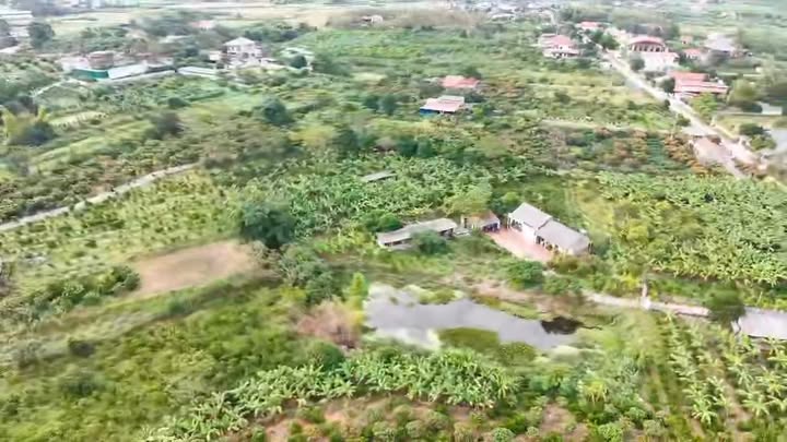 Farm Đồng Tâm Yên Thế 9800m² giá 6 tỷ - Đầu tư sinh lời tại Bắc Giang!