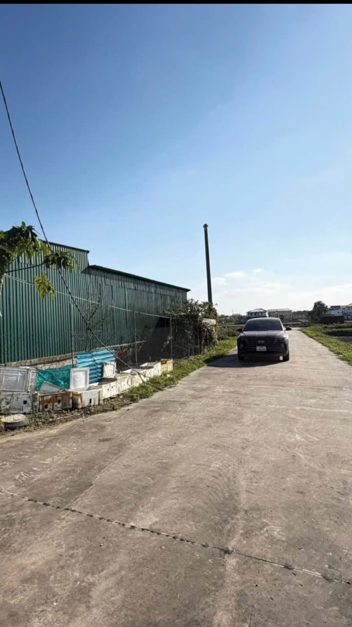 Đất 2 mặt tiền đường tại xóm Đại Thọ, xã Long Xá, 227m² - Cơ hội đầu tư tuyệt vời!