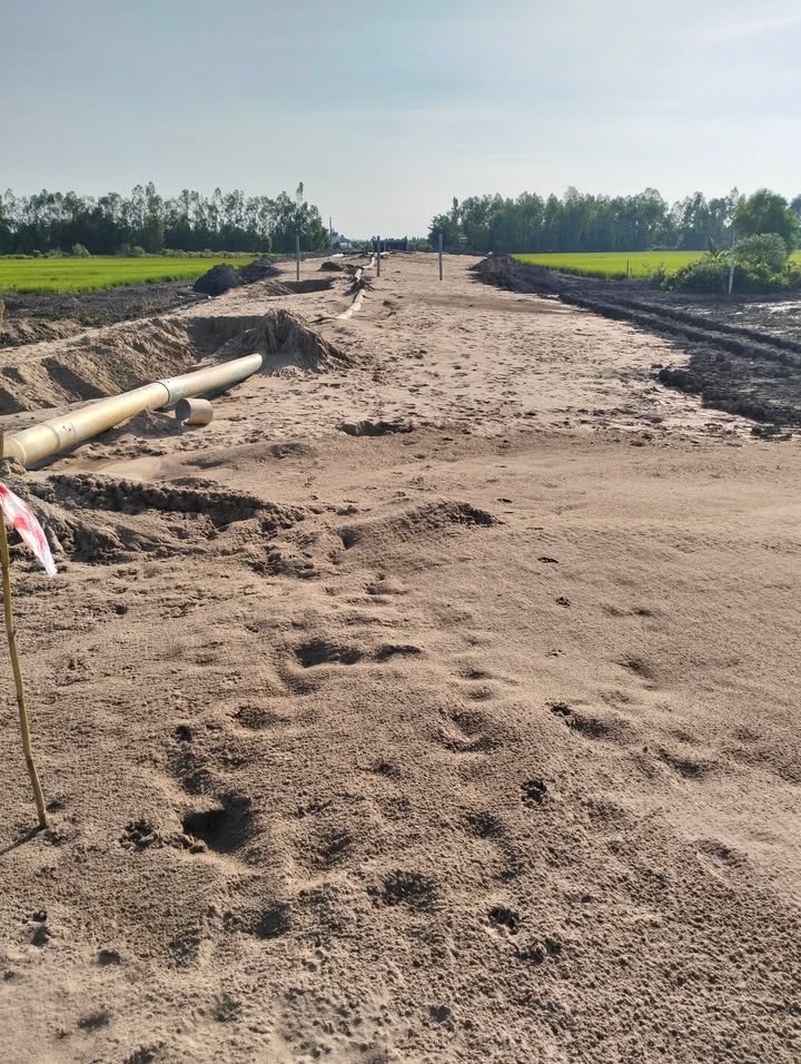 Đất nền 2 mặt tiền xã Mỹ Hòa, huyện Tháp Mười, 40.000m² giá chỉ 1.48 tỷ - Cơ hội đầu tư tuyệt vời!