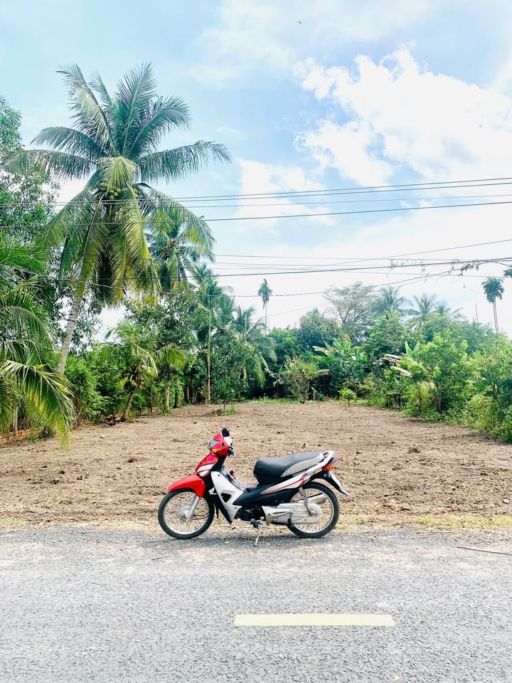 Đất nền Long Hoa Tây Ninh 525m² giá 5.845 tỷ - Sổ hồng chính chủ, tách lẻ dễ dàng!