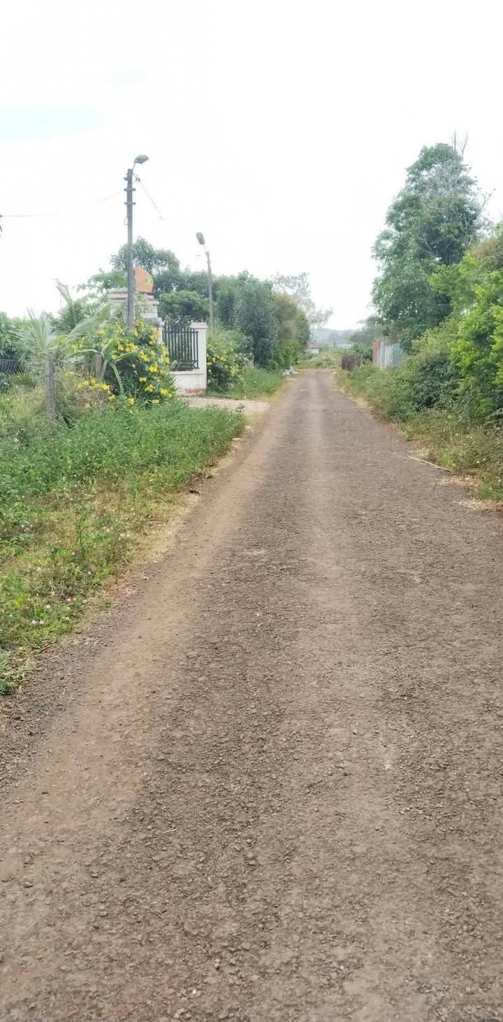 Đất nền hẻm 143 Lê Văn Hưu, Thống Nhất, 400m² - Sổ đỏ chính chủ, giá chỉ 500 triệu!