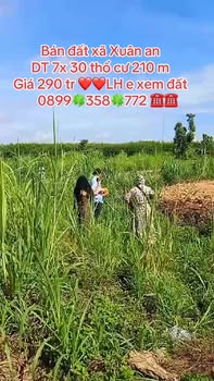 Đất thổ cư 210m² xã Xuân An giá 290 triệu - Đầu tư sinh lời ngay!